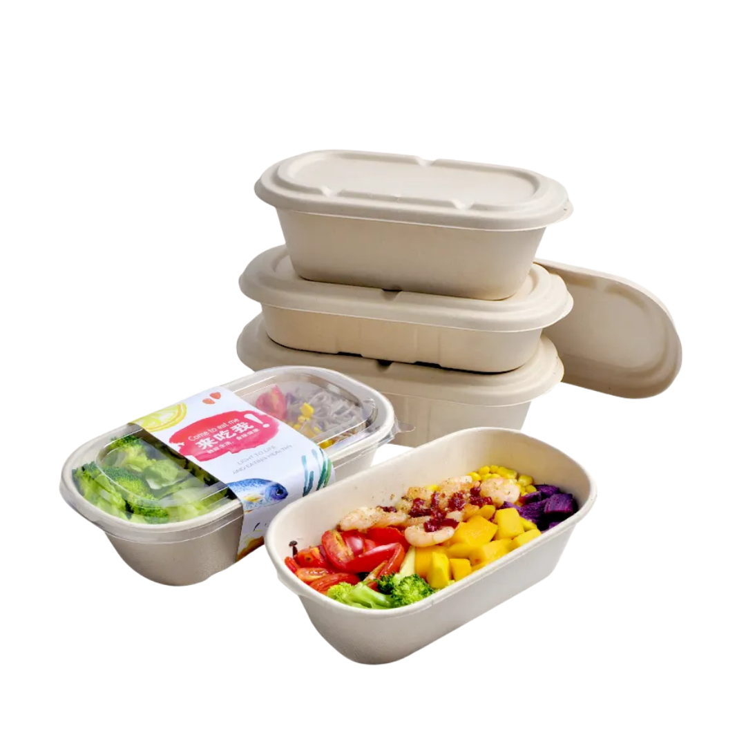 Eco-friendly Biodegradable Bagasse Oval Food Containers Sugarcane Lunch Bowl with Lid