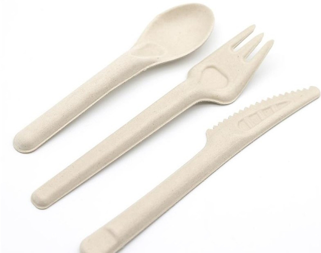Manufacturer Wholesale bagass material Disposable Bagasse Paper Spoons