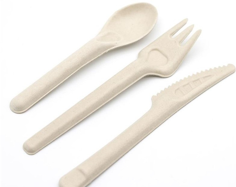 Manufacturer Wholesale bagass material Disposable Bagasse Paper Spoons