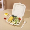 Umwelt freundliche Clamshell-Verpackung Biologisch abbaubare Kunststoffsc halen für nachhaltige Lebensmittel liefer dienste zum Mitnehmen
