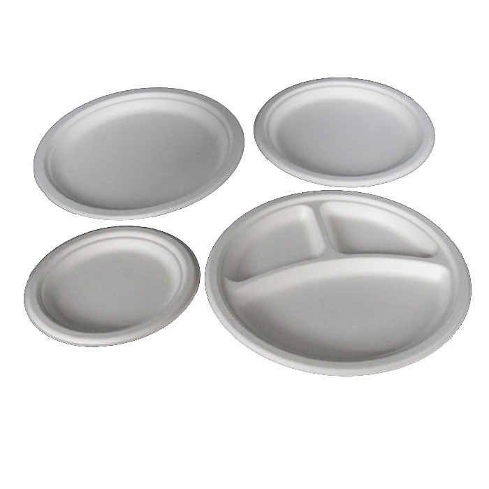 Disposable Organic Divided Paper Plates