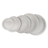 Cornstarch Biobased Eco Friendly Serving Plates Perfect Dinnerware Disposable Plates