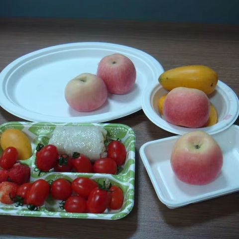 Sugarcane Water and Oil Resistant Compostable Materials Eco Friendly Disposable Biodegradable Plates