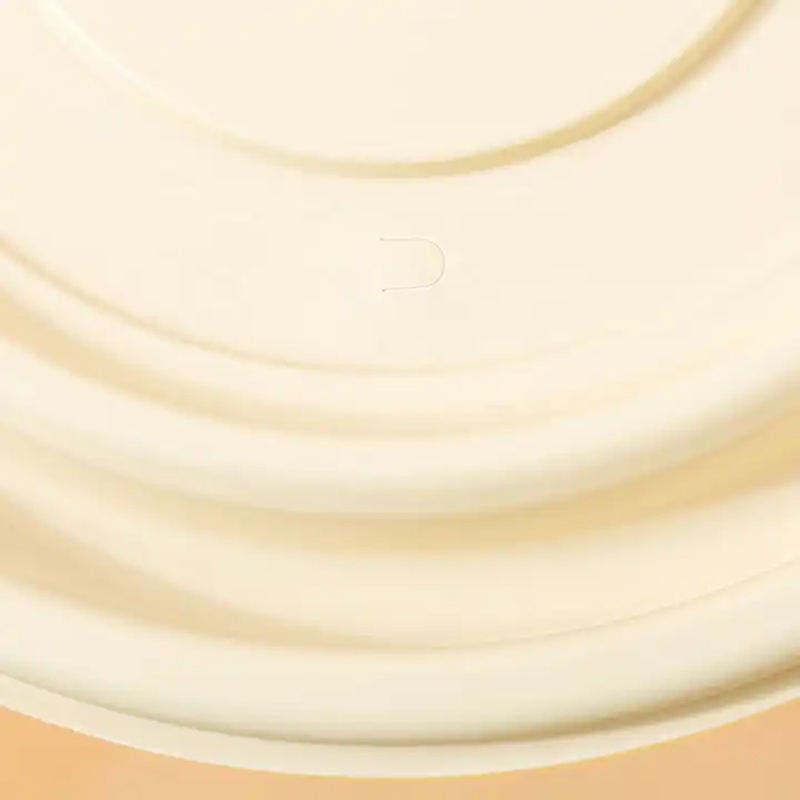 Certificated Biodegradable Plastic Box Food Container Usa Europe Standard Clamshell Takeaway Box 9*5 Inch Bento Conta