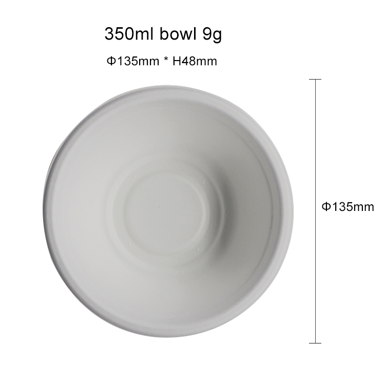The Most Popular Baggase Disposable Plates for Party Disposable Plates and Box Plates Disposable