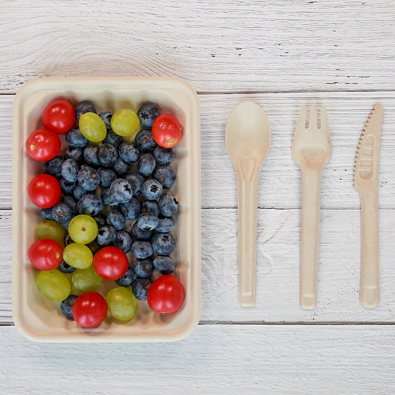 Hot Selling Eco-friendly Biodegradable Bagasse Cutlery Sugarcane Spoon Fork Knives With Huge Discount
