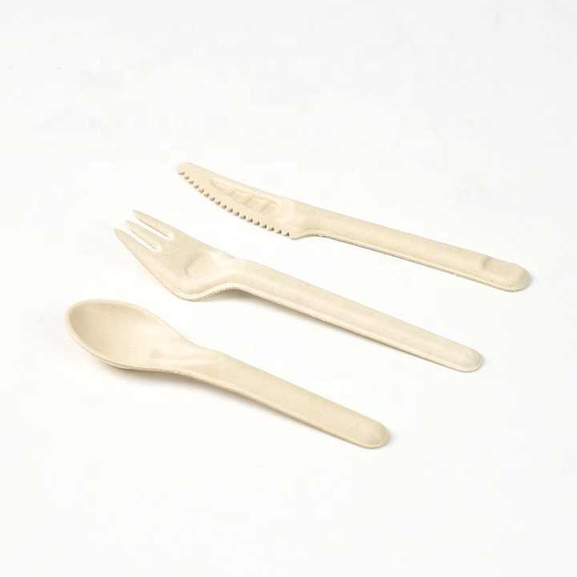 Sugarcane Spoon Fork Knife Biodegradable Bagasse Pulp Disposable Cutlery for Party