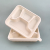 Corn Starch Box Take Out Container Food Box Lunch Box Cornstarch with 4 Compartments Food Packing to Go