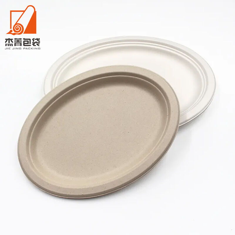 Biodegradable 10 Inches Microwavable Round Compostable Plate sugarcane bagasse paper plate for sale