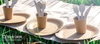 Factory Price Hot Sale Eco-friendly Disposable Biodegradable Cutlery For Parties