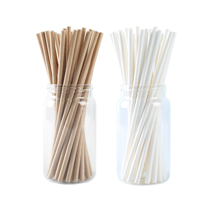 Paper Straw