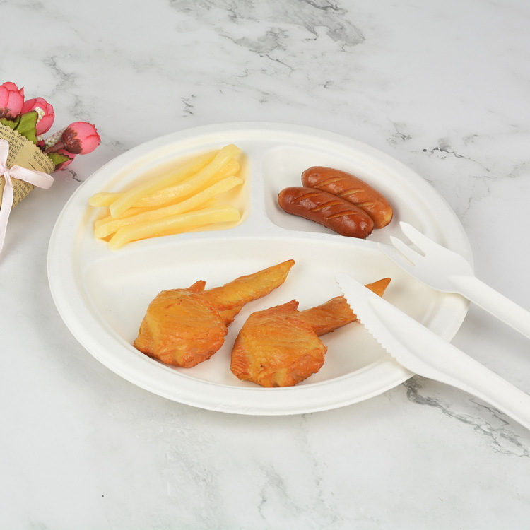 Round dinner plate Baggasse bowl and container