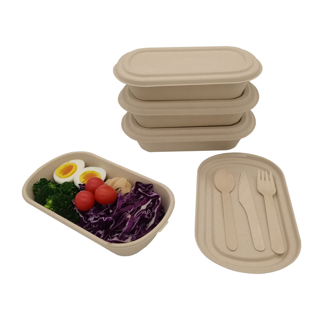 Disposable takeaway salad box Biodegradable lidded container