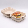 Biodegradable Disposable Compostable Takeaway Sugarcane Bagasse Tableware