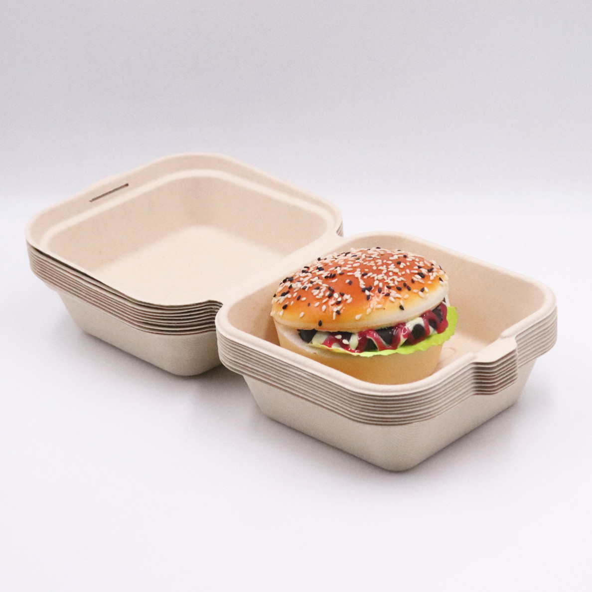 Biodegradable Disposable Compostable Takeaway Sugarcane Bagasse Tableware