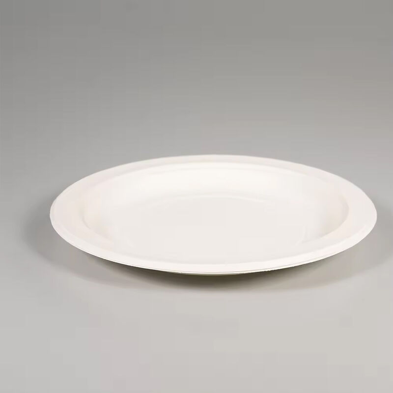 BBQ Party Events Wedding Disposable Tableware Food Plate Biodegradable Dinnerware Corn Starch Dinner Plate