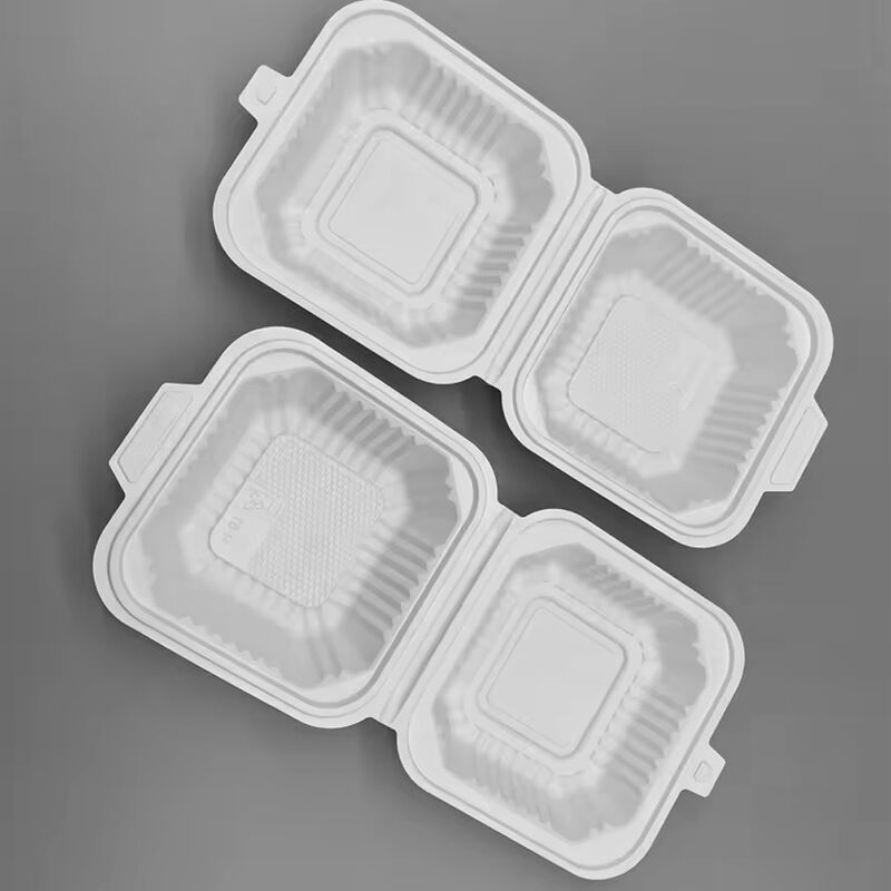 Wholesale 6 inch clamshell biodegradable container takeaway box fast food packaging