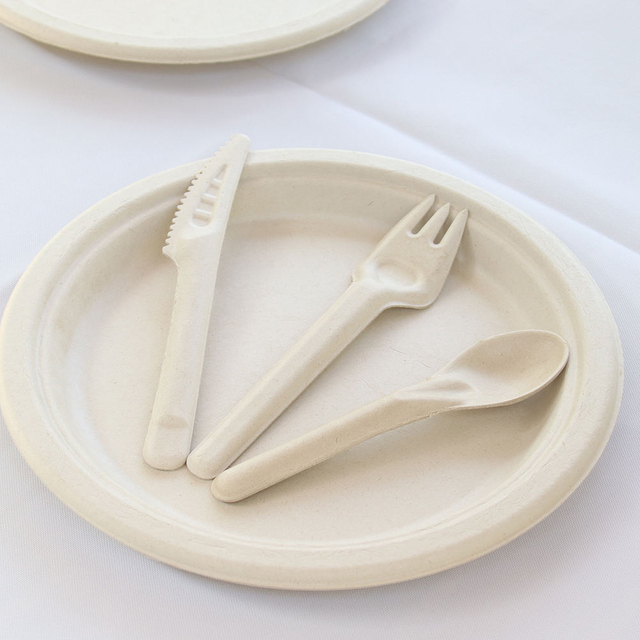 Compostable Disposable Sugarcane Bagasse Fiber Dinner Sets Bamboo Fiber Cutlery and Paper Forks for Weddings and Parties