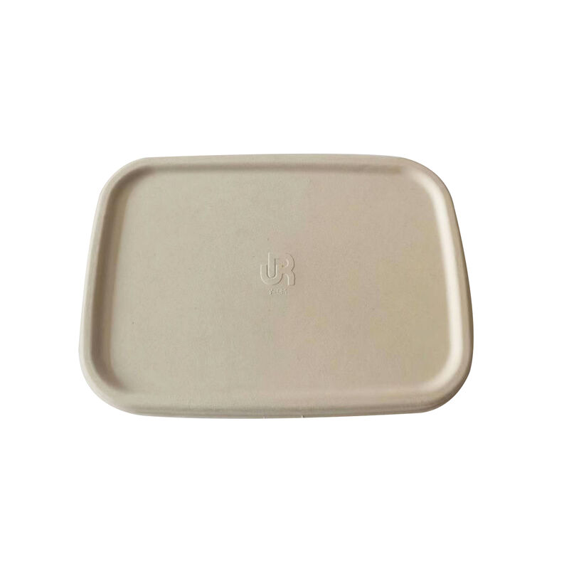 High quality Biodegradable rectangular style bagasse Sugarane meal box disposable bagasse pulp box for food