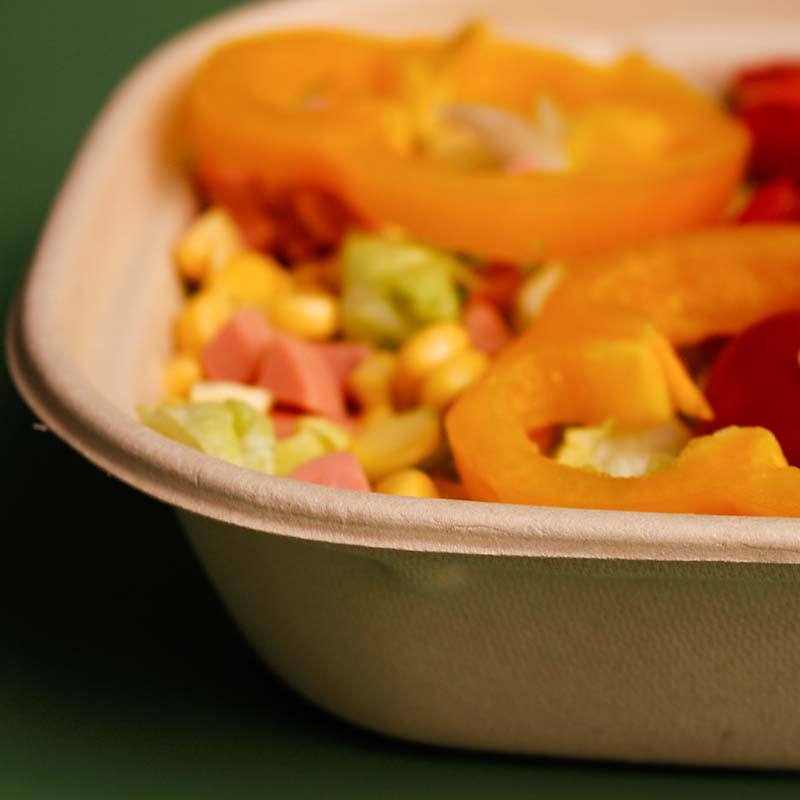 1000ml 33OZ Bagasse Salad Bowl Sugarcane Food Container with Lid