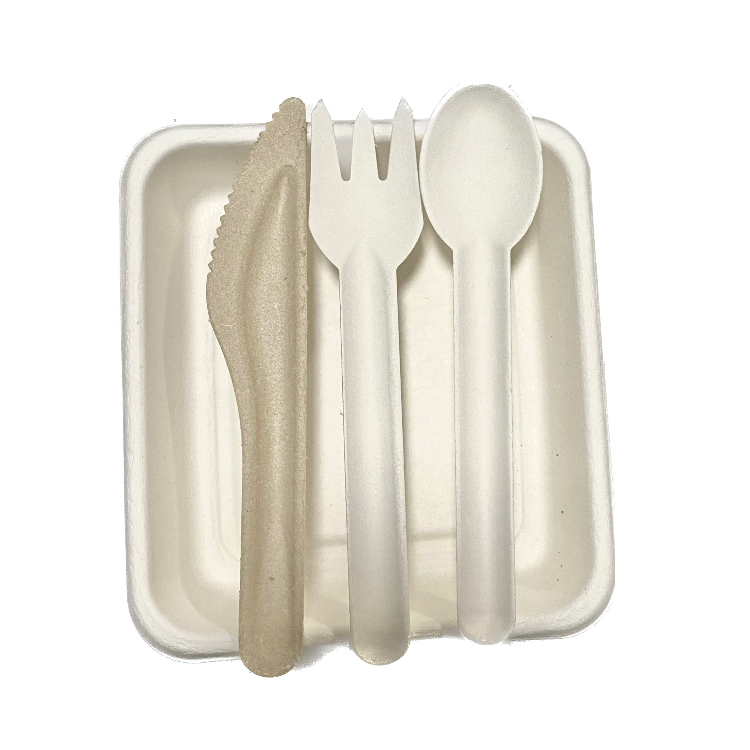Wholesale Compostable Biodegradable Disposable Bagasse Sugarcane Pulp Cutlery Tableware Knife Fork Spoon
