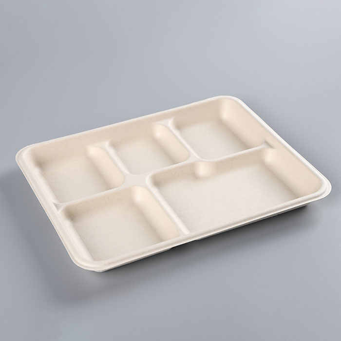 Großhandel Zuckerrohr-Bagasse-Verpackungsbehälter Bagaßen biologisch abbaubares Einweg-Zellstoff-Bahl