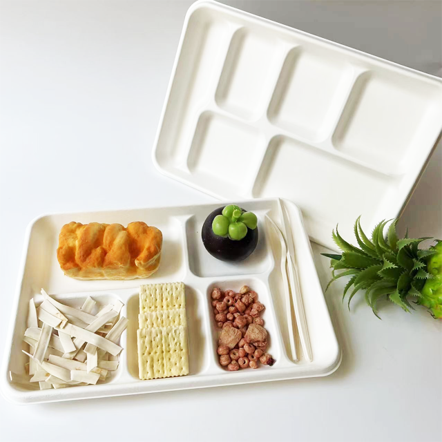 Bagasse 6 Compartmnet Tray Einweg-Serviert abletts mit mehreren Lebensmitteln