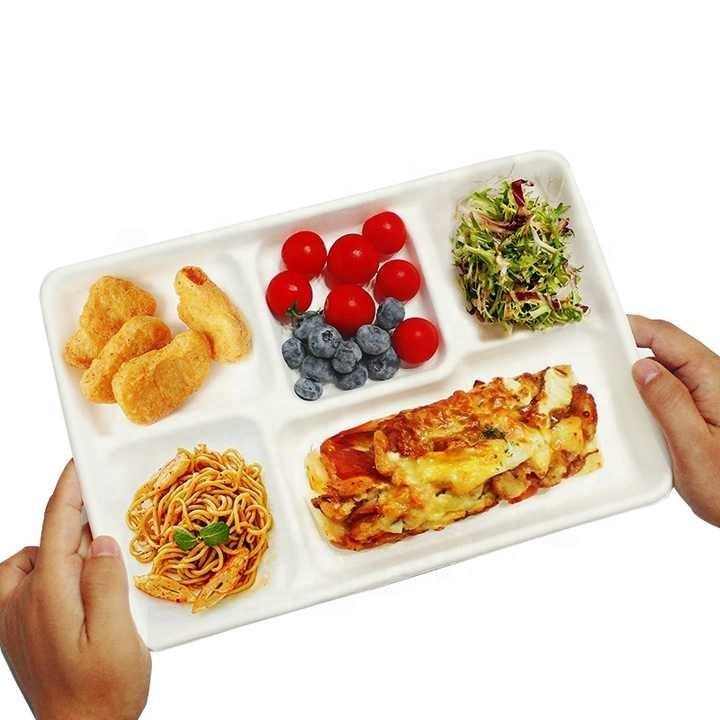 Biodegradable & Compostable Sugarcane Bagasse Plates 5 Compartment Fast Food Container Tray