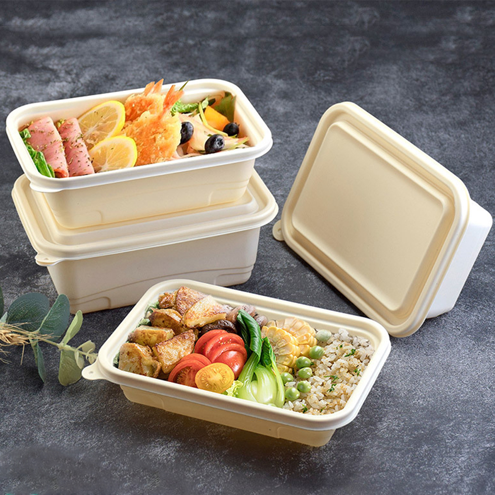 Biologisch abbaubare Einweg 650ml Maisstärke Clam shell Box Lebensmittel Maisstärke Lunch Box