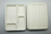 Factory Wholesale 100% Biodegradable Ecofriendly Lightweight Biodegradable Bagasse Paper Plate Food Trays