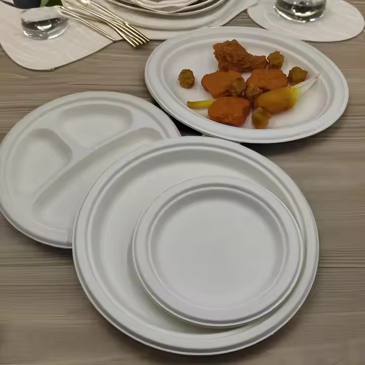 Einweg platte Biologisch abbaubares Geschirr Papier geschirr Zuckerrohr Bagasse Platte Zuckerrohr platten