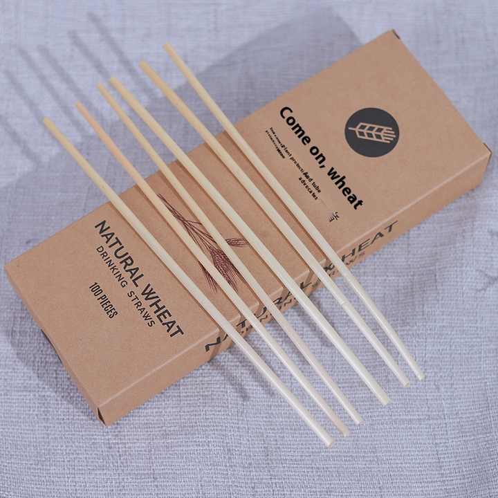 Natural Biodegradable 6mm Diameter Wheat Straw PLA Straws Disposable Water Beverage Coffee Juice Straws for Parties and Bars