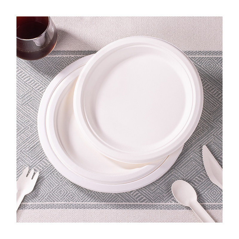 The Most Popular Baggase Disposable Plates for Party Disposable Plates and Box Plates Disposable