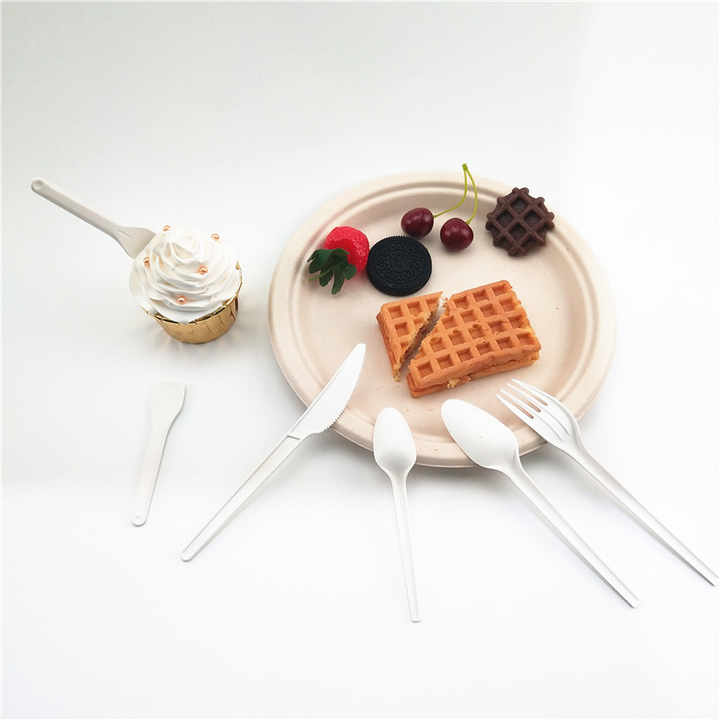 Biodegradable Cutlery Composable PLA Airline Cutleries Disposable Biodegradable Plastic Cutlery