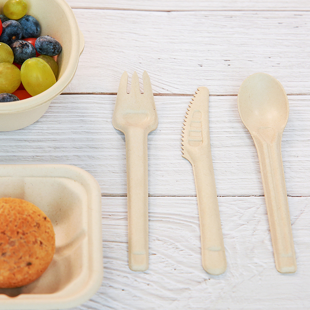 Hot Selling Eco-friendly Biodegradable Bagasse Cutlery Sugarcane Spoon Fork Knives With Huge Discount