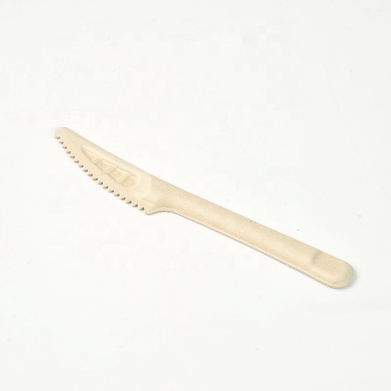 Sugarcane Pulp Cutlery Disposable Knife Bagasse Forks and Spoons