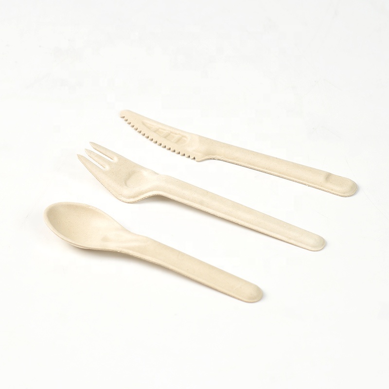 Sugarcane Spoon Fork Knife Biodegradable Bagasse Pulp Disposable Cutlery for Party