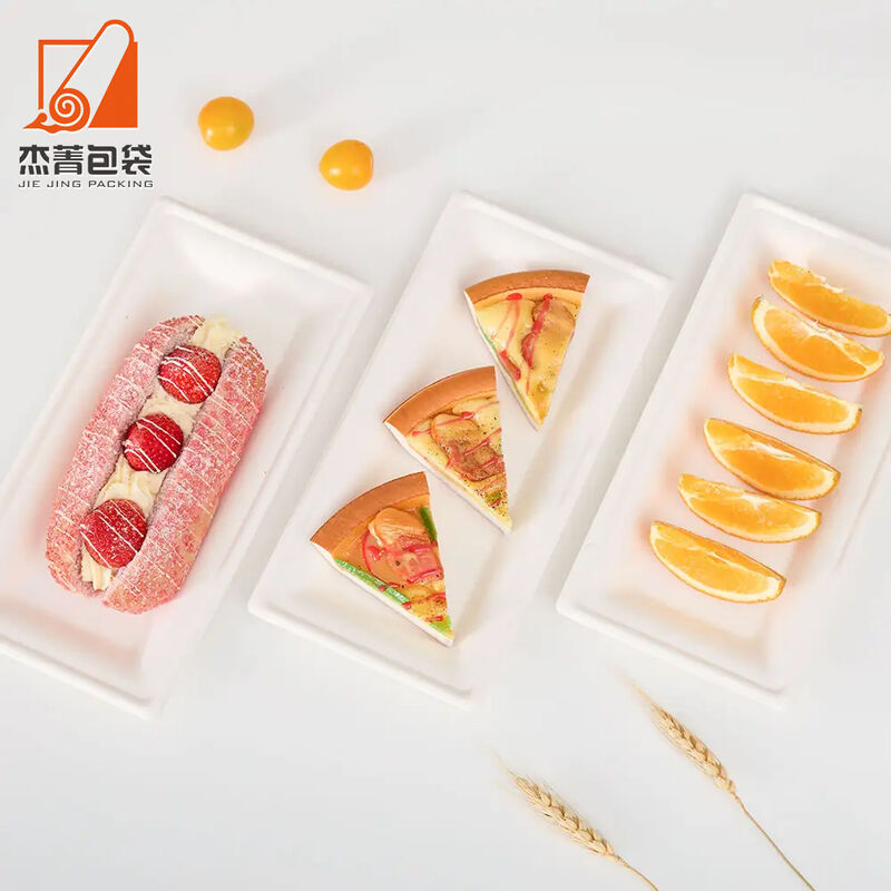 Biodegradable and compostable disposable and environmentally friendly sugarcane bagasse meal tray, rectangular takeout, dine in