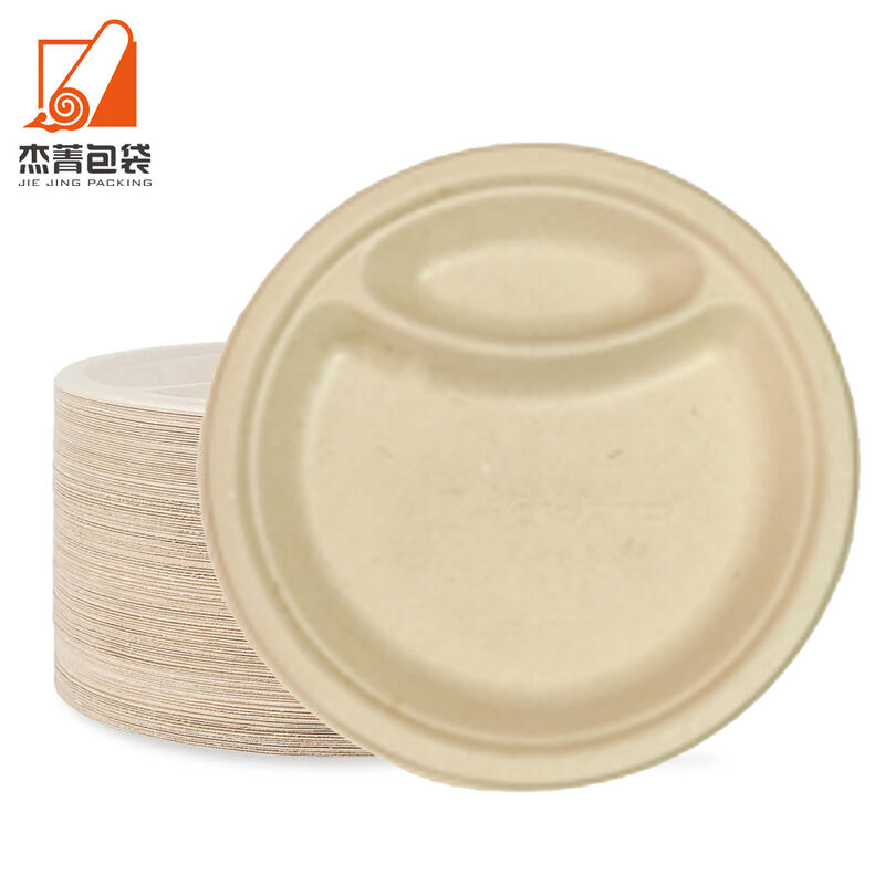 9In Disposable Paper Plates, Biodegradable Plates With 2 Compartments, Dinner And Lunch Plates, Paper Plates For BBQ,