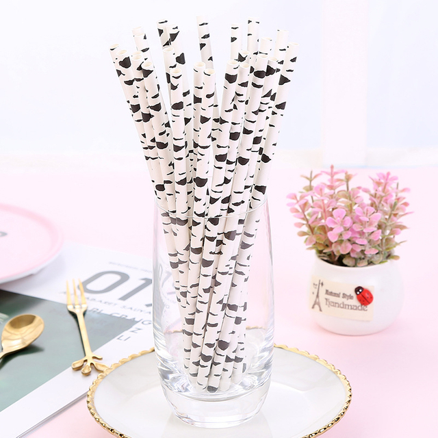 Paper Straw
