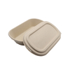 Disposable takeaway salad box Biodegradable lidded container