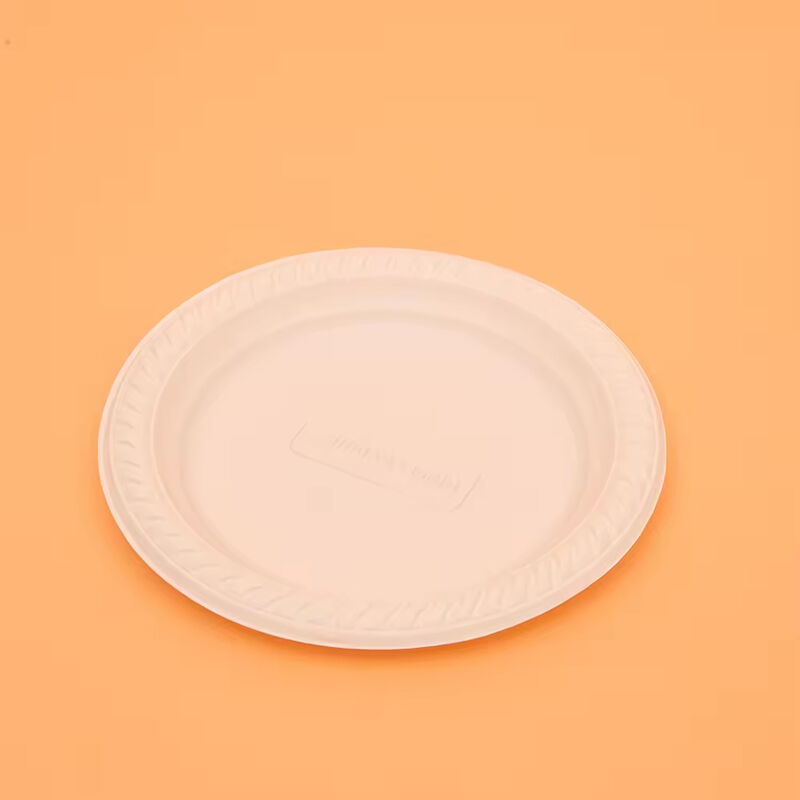 8 inch Cornstarch Bio-Based Custom Color Disposable Festival Food Dessert Cake Plate Party Supplies Tableware Plate Set