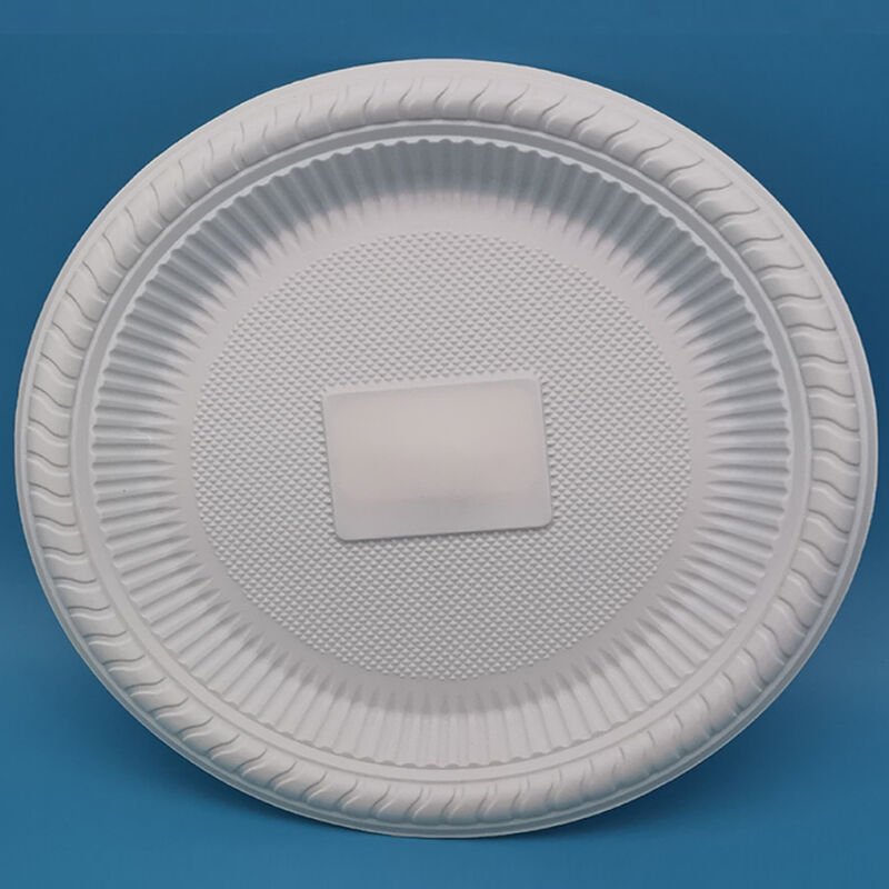 8 inch disposable dinnerware plate corn starch eco friendly single use white round plates disposable food serving plate