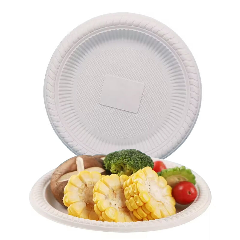 Eco friendly 10 Inch Biodegradable Corn Starch Takeaway Food Packing Disposable Dish Tray 3 Compartment Dinner Plate