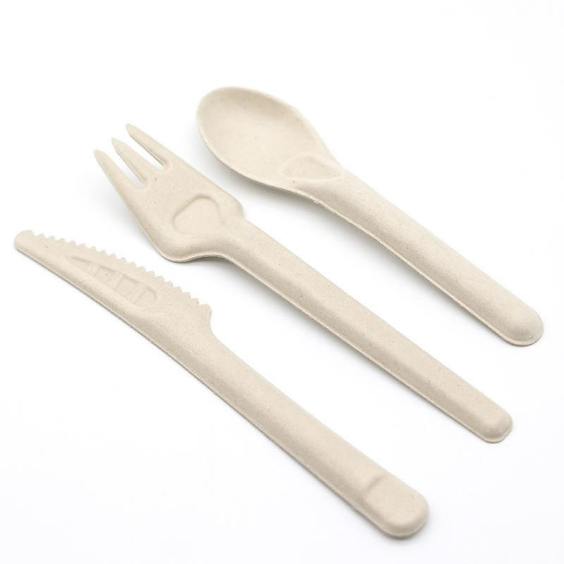 Manufacturer Wholesale bagass material Disposable Bagasse Paper Spoons