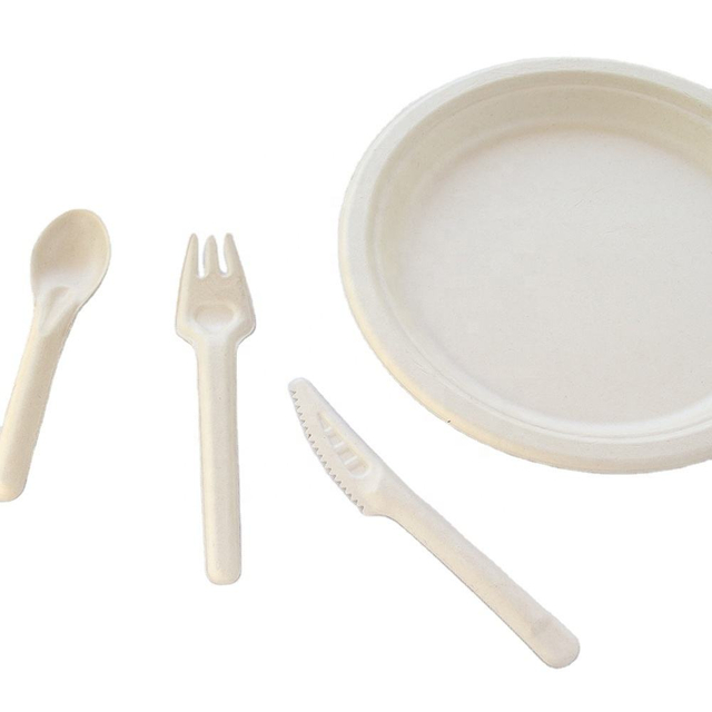 2024 Disposable corn biodegradable tableware Paper tableware corn starch tableware