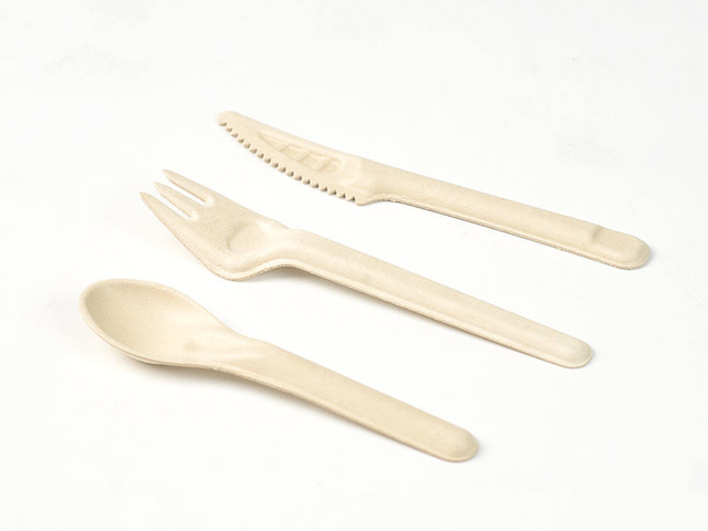 Wholesale Compostable Biodegradable Disposable Bagasse Sugarcane Pulp Cutlery Tableware Knife Fork Spoon