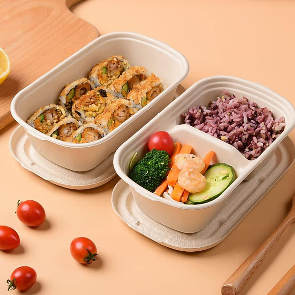 Einweg 750ml Rechteck Zuckerrohr 2-fach Lebensmittel behälter Biologisch abbaubare Bagasse-Lebensmittel box mit Deckel