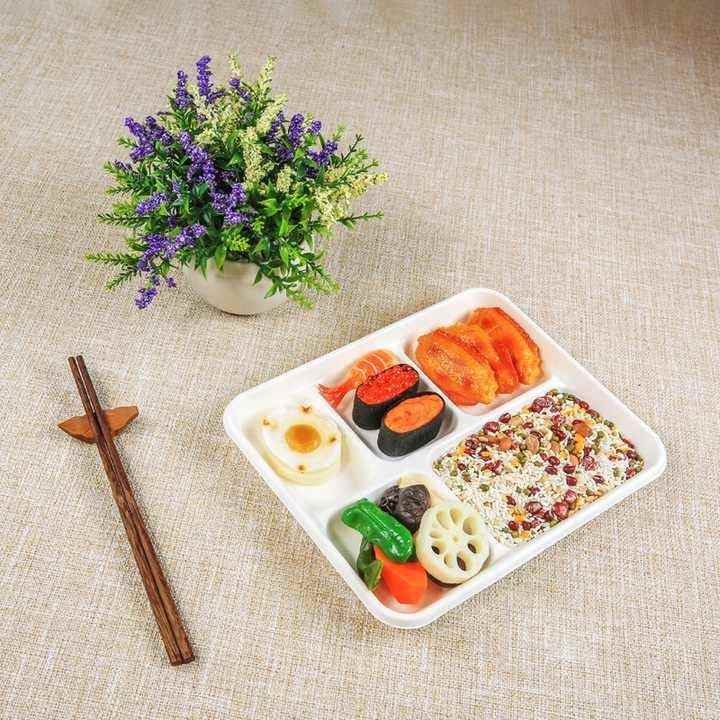 5 Compartment Rectangular Disposable and Compostable Dinnerware Sets Biodegradable Bagasse Food Platter Tray