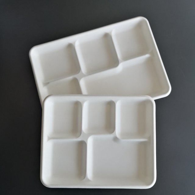 Manufacturer's Disposable 5-Compartment Sugarcane Bagasse Food Tray Well Made for Parties and Camping Safe for Refrigeration